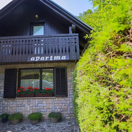 Pocitniska Hisa Zvan Bohinj Luaran gambar